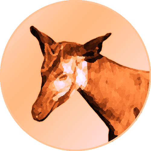 Perk Logo